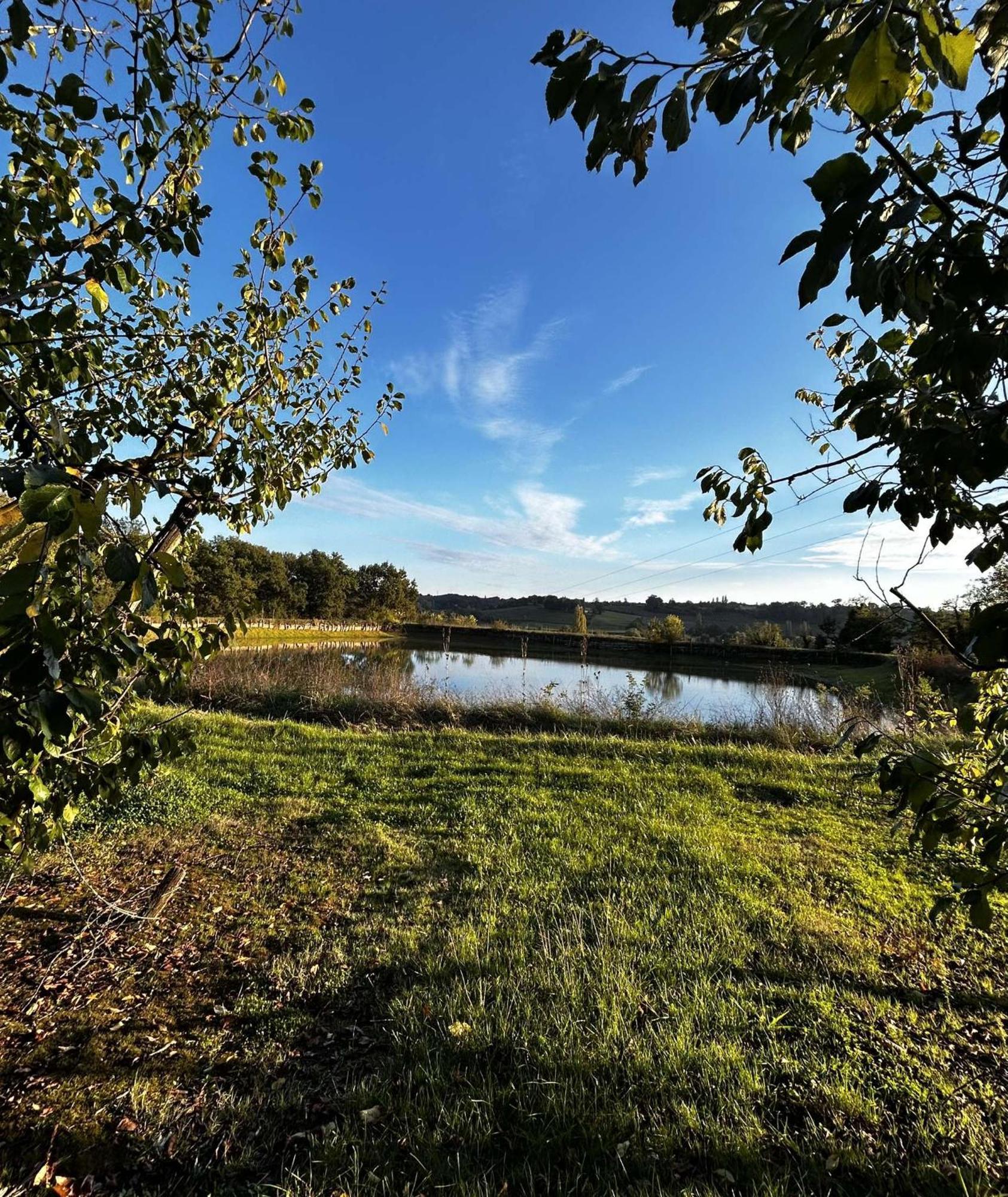 Gite La Garrigue Montbarla Екстериор снимка